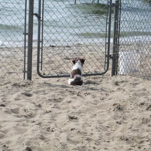 Meet your Posher, Gail